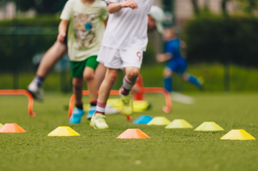 פעילויות לחופש הגדול